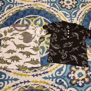 Set of two dinosaur shirts